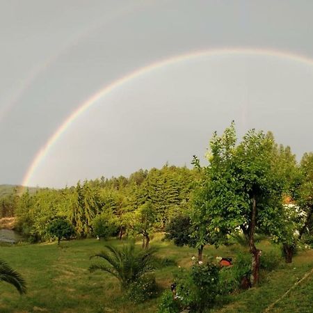 São Vicente da Beira Quinta Nas Colinas 빌라 외부 사진