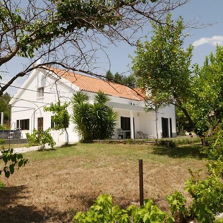 São Vicente da Beira Quinta Nas Colinas 빌라 외부 사진