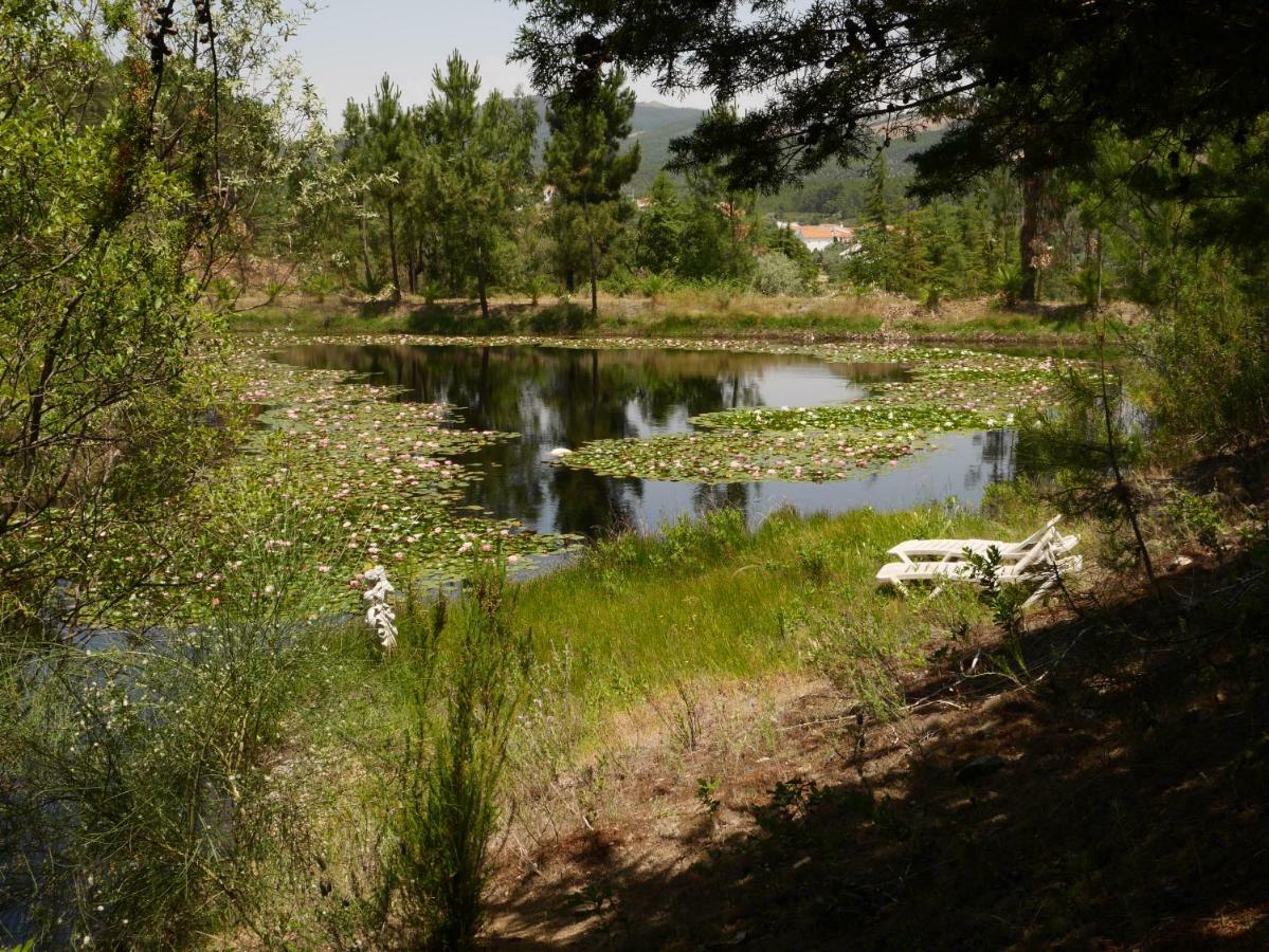 São Vicente da Beira Quinta Nas Colinas 빌라 외부 사진