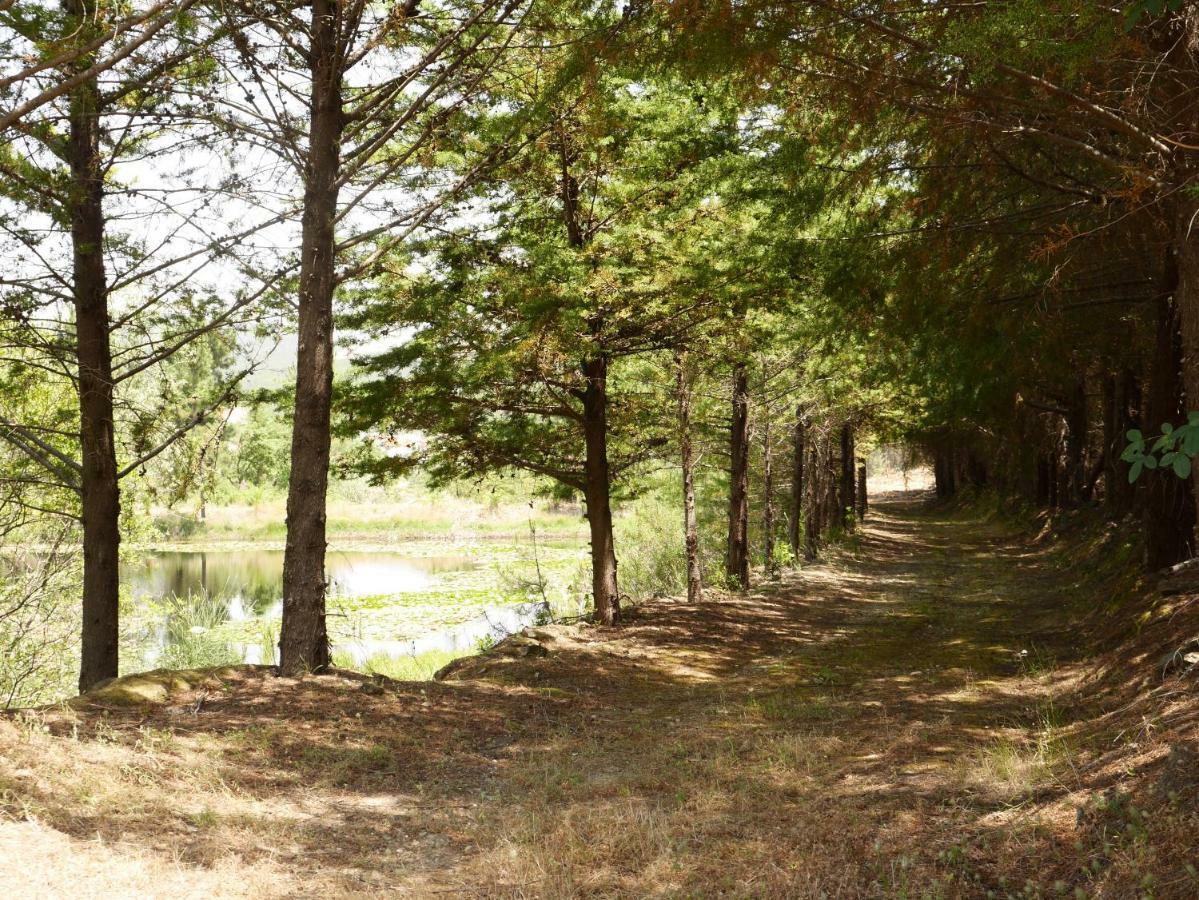 São Vicente da Beira Quinta Nas Colinas 빌라 외부 사진