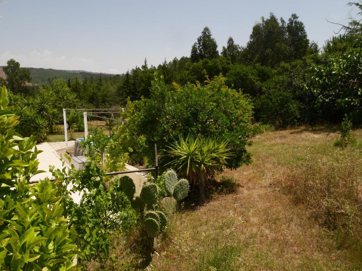 São Vicente da Beira Quinta Nas Colinas 빌라 외부 사진