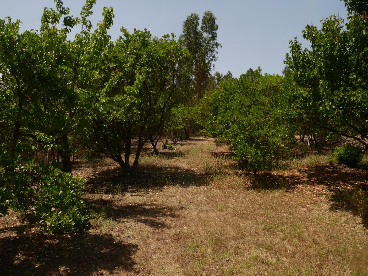 São Vicente da Beira Quinta Nas Colinas 빌라 외부 사진